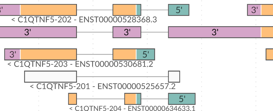 Visualizing GENCODE gene annotations from hierarchical GFF3 data