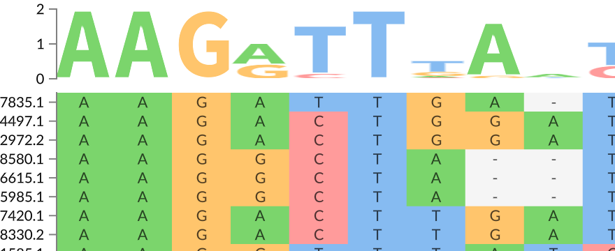 Interactive multiple sequence alignment and sequence logo from FASTA