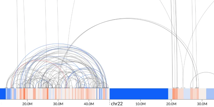 Visualizing structural variants and copy-number changes in cancer genomes